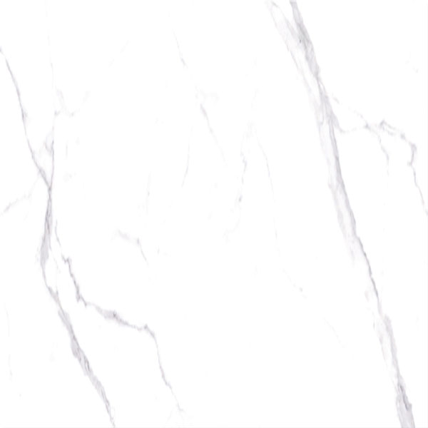 Titanium Statuario Grey Matte 100x100